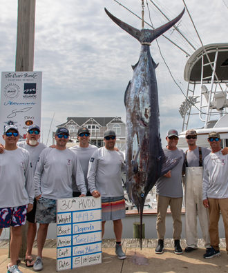 Desperado - 449.3 lb. Blue Marlin from Day 2.
