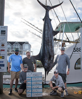 Open Waters - 473.5 lb. Blue Marlin from Day 2.